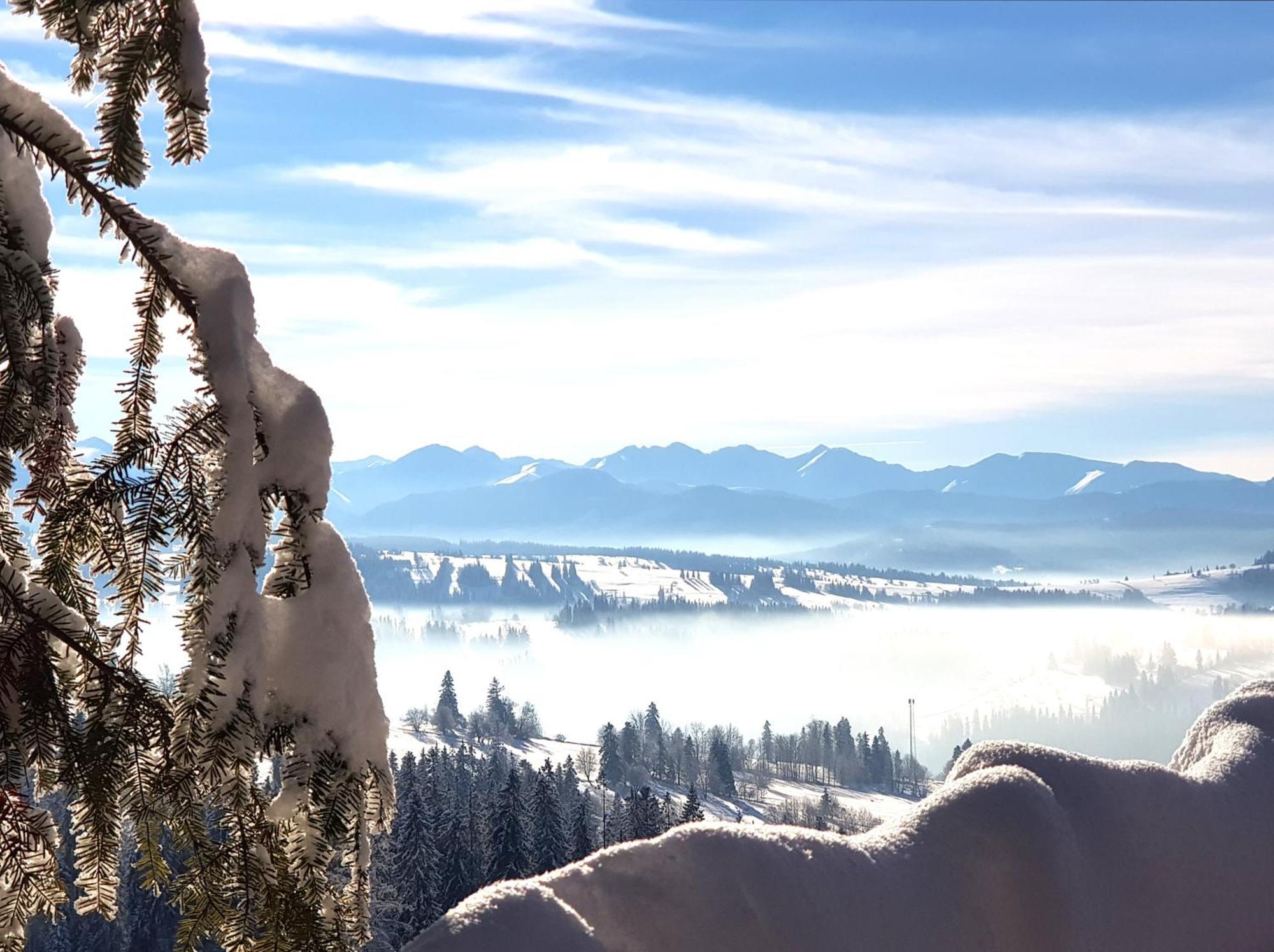 Dom Gorski Klimat-Willa 160 M2 Z Wewnetrzna Sauna Finska, Znizki Do Term Goracy Potok Zakopane Eksteriør bilde